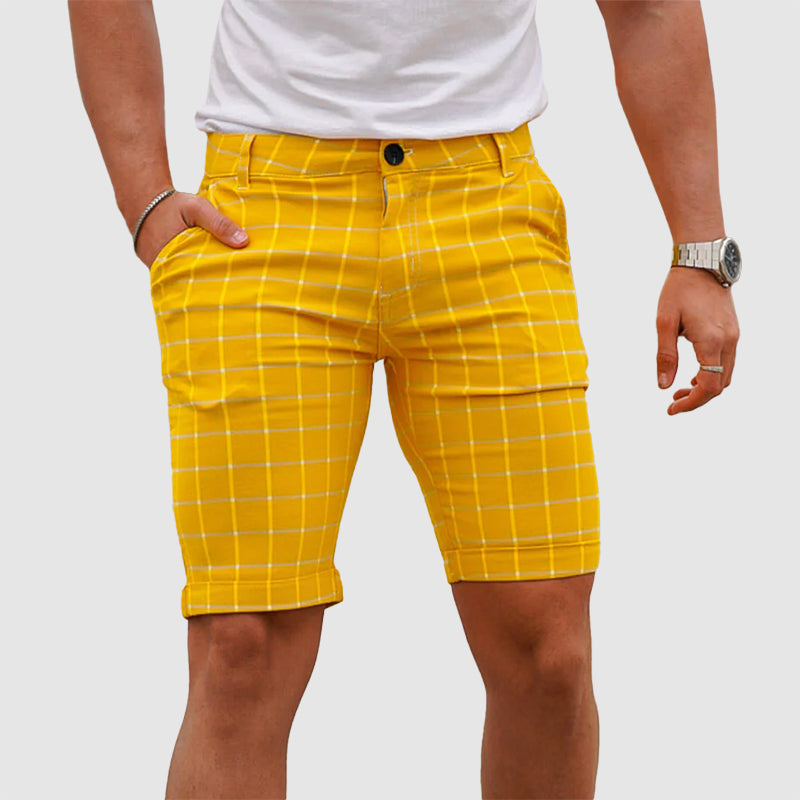 Dan Anthony Downtown Summer Shorts